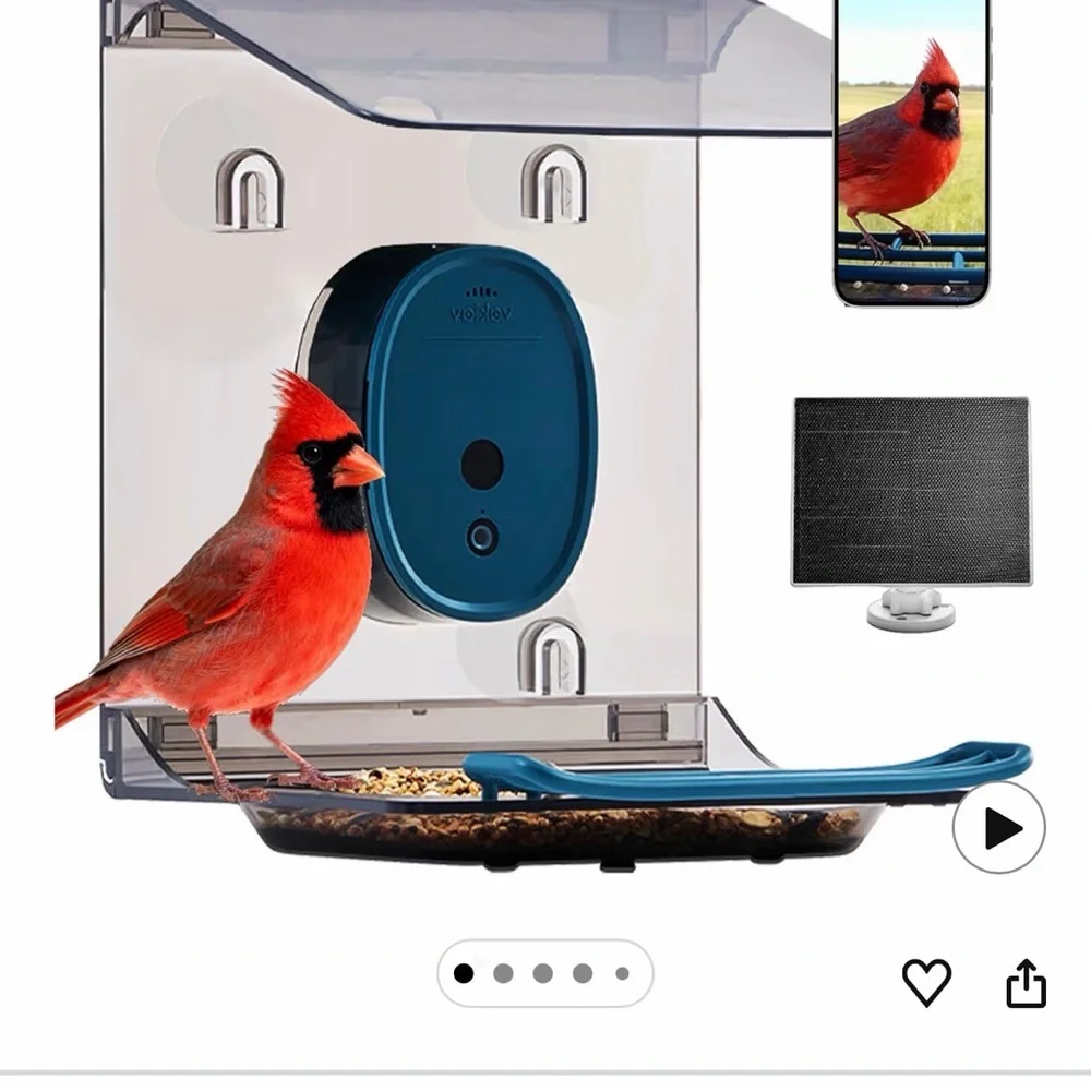 Bird Feeder with Camera - Blue